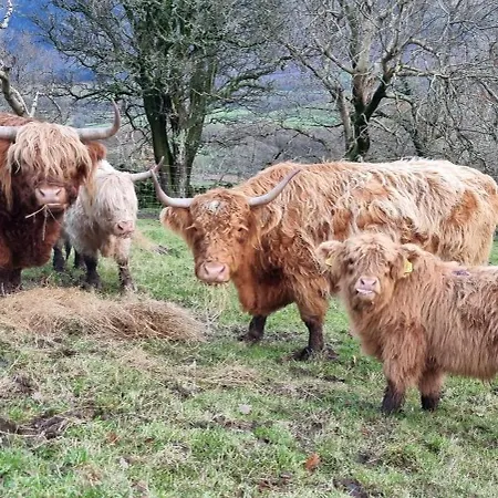 Wastwater On The Big 
