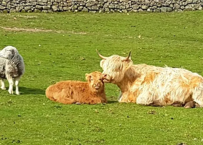 Wastwater On The Big 