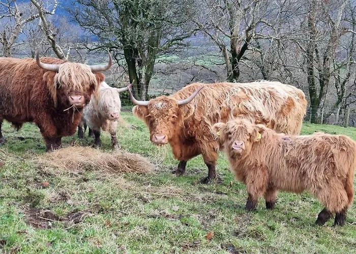 Wastwater On The Big 